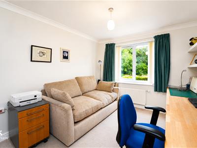 Picture 13